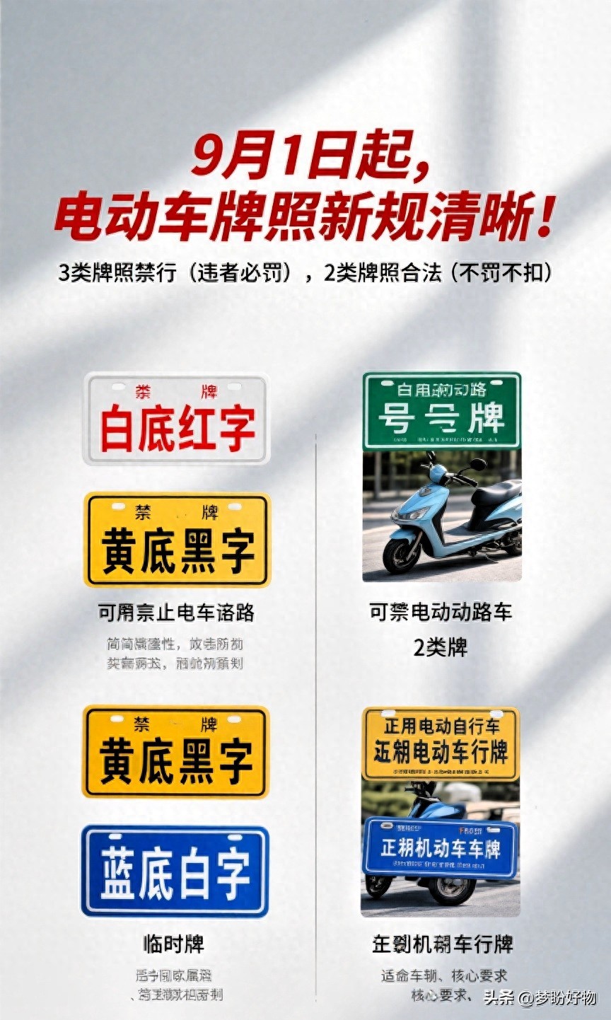 非標(biāo)牌照禁行處罰_電動車牌照新規(guī)2025_限行