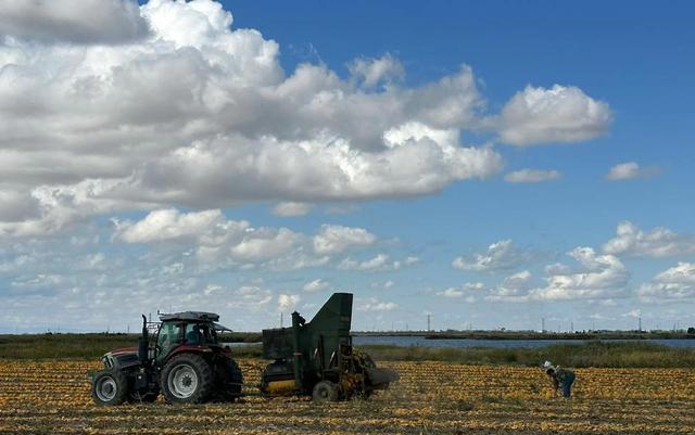 卡車運(yùn)輸對(duì)道路影響_美國公路狀況_路況