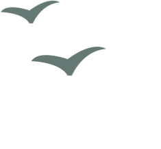 禁行違章怎么處罰規(guī)定_禁行扣幾分罰款多少_禁行