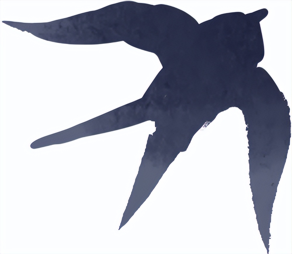 秋季雨霧行車安全_出行提示_雨霧天氣駕駛技巧