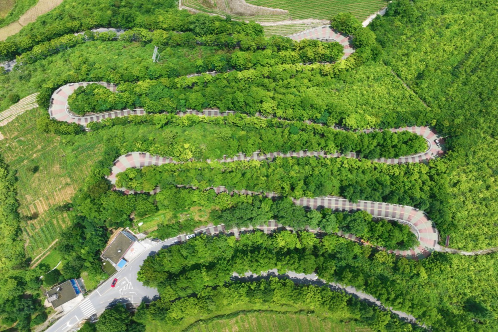 農(nóng)村道路交通安全提示_出行提示_駕駛?cè)顺鲂邪踩?/></p>

<p>駕駛?cè)似?/p>
<p>農(nóng)村道路出行安全提示</p>
<p>出車之前要對(duì)車況展開(kāi)檢查，圍繞車輛走上一圈，對(duì)胎壓進(jìn)行檢查，對(duì)燈光加以檢查，對(duì)剎車予以檢查，以此來(lái)保證車況處于良好的狀態(tài)。</p>
<p>第②點(diǎn)，一盔一帶，安全常在，不管是駕駛小轎車，還是乘坐車輛當(dāng)中的前排，或者后排，所駕乘人員都必須系好安全帶，騎乘摩托車、電動(dòng)車時(shí)，請(qǐng)正確佩戴合格的安全頭盔，對(duì)于拖拉機(jī)、三輪車，車尾務(wù)必一定要貼好反光貼，用以提示后車避開(kāi)避免追尾。</p>

<p>要守法，做到文明出行，不進(jìn)行無(wú)證的駕駛行為，不酒后駕車，不超員超載，不非法載人，不疲勞駕駛，遵守交通安全法律法規(guī)，從而文明出行 。</p>
<p>④駕車出行之際，心態(tài)需保持那種平和的狀態(tài) ，視線要朝著遠(yuǎn)處去放 。碰到農(nóng)用車 ，碰到三輪車 ，要懷揣耐心去跟隨 ，挑選安全地段之后再超車 。路過(guò)村口時(shí) ，經(jīng)過(guò)路口時(shí) ，穿過(guò)巷口時(shí) ，務(wù)必要提前降低速度 ，并且鳴響喇叭 。</p>

<p>行人篇</p>
<p>農(nóng)村道路出行安全提示</p>
<p>步行之際，當(dāng)盡可能游走于硬化路面之邊緣地帶或者專門(mén)設(shè)置之人行通道上面，需避開(kāi)那些存在坑洼以及破損狀況的路段，并且要沿著邊緣行走；而當(dāng)路過(guò)路口、彎道、坡頂?shù)葘儆谝暰€盲區(qū)的區(qū)域之時(shí)，務(wù)必要格外留意進(jìn)行觀察。</p>
<p><img src=