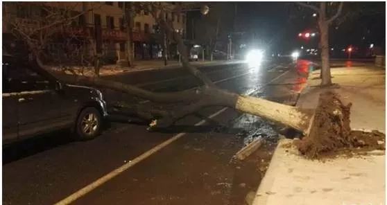 大風天氣行車安全注意事項_出行提示_大風天氣車輛行駛技巧