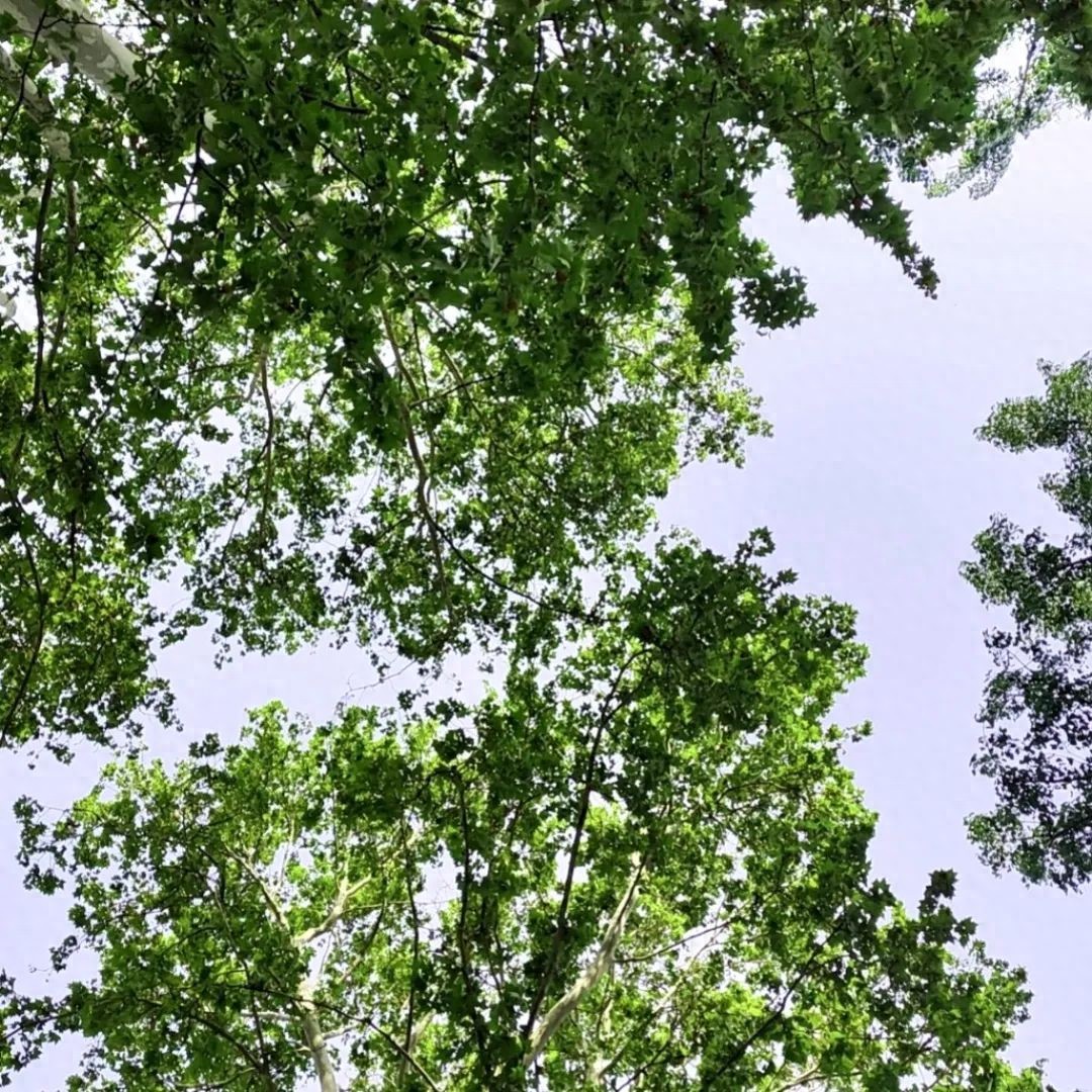 自駕旅行安全注意事項_五一自駕出行安全提示_出行提示