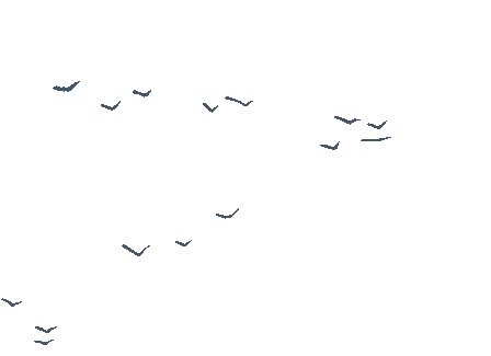 寫(xiě)簡(jiǎn)短的溫馨的出行提示_出行提示_出行提示圖片