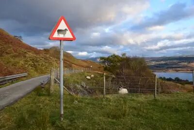 規(guī)范燒荒_交通安全隱患_出行提示