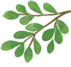 學(xué)生交通安全注意事項_開學(xué)季交通安全出行提示_出行提示