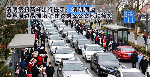 周末公園賞花出行_出行提示_清明祭掃交通管制
