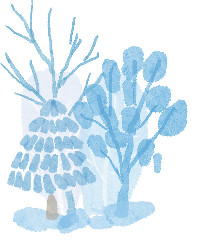 大風降溫天氣預(yù)報_明顯降雪天氣預(yù)報_出行提示